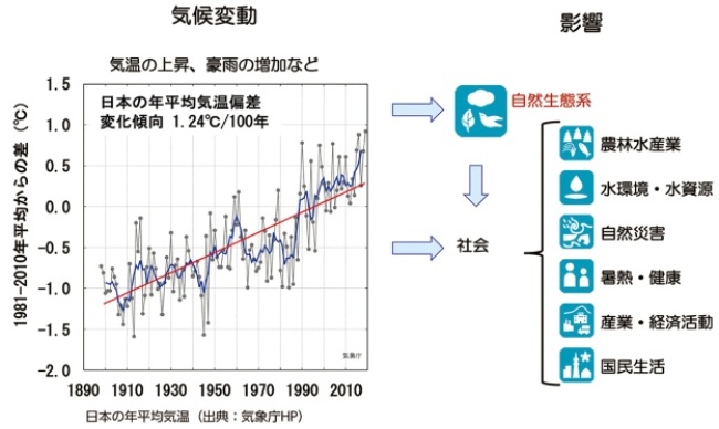 図1　気候変動による影響を受ける自然・社会の要素