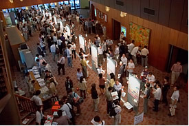 �ʐ^�F�u���������������J�V���|�W�E��2006�̗l�q�v