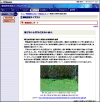 ���Z�p���|�[�g�@�Q�O�N�x�f�ڃe�[�}�̃y�[�W���