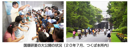 �ʐ^�F�����Ă̑���J�̏󋵁i20�N�V���A���Ζ{�����j