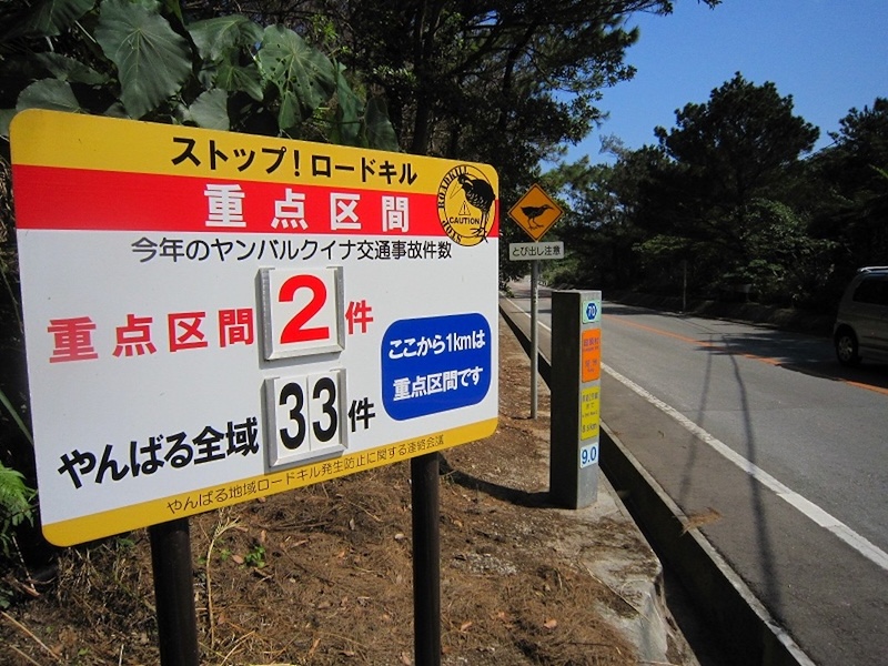 写真5