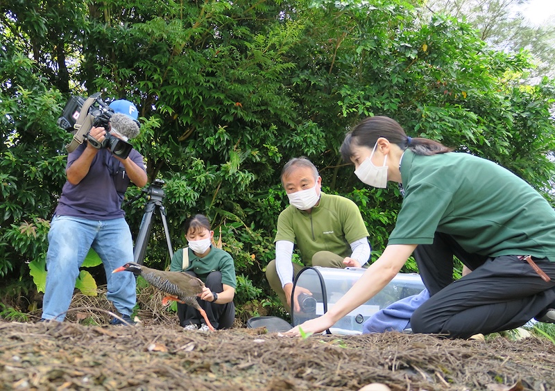 写真6