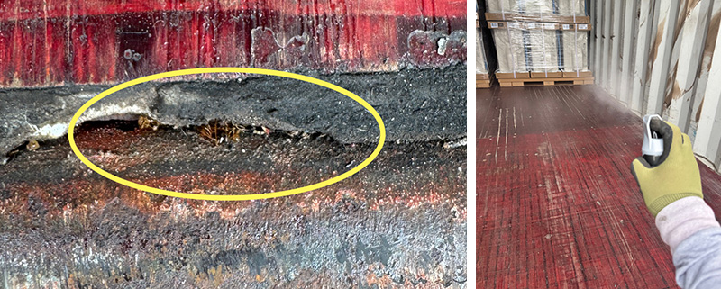 コンテナ内部の調査などの写真