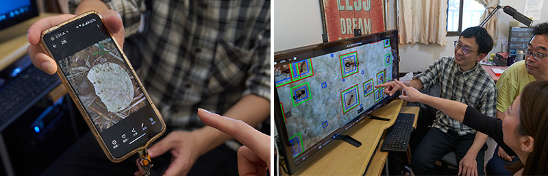 スマートフォンで撮影したスナック菓子に群がるヒアリの写真