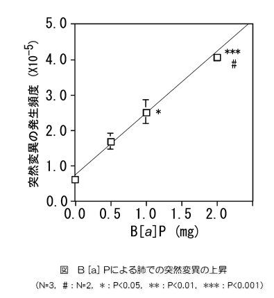 「図：B[a]Pによる肺での突然変異の上昇」を示すグラフ画像