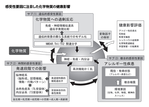 「感受性要因に注目した化学物質の健康影響」を示す概要図