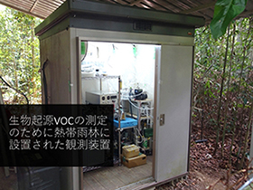 熱帯雨林に設置された観測装置の写真