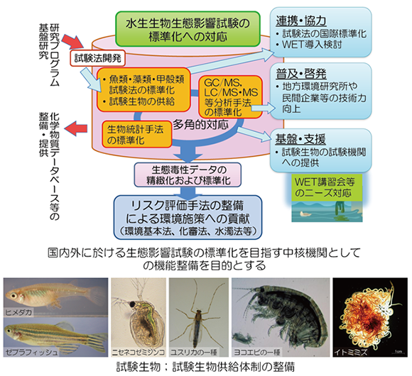 生態毒性標準拠点概要図と試験生物の写真