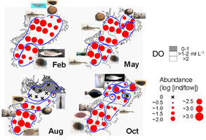「底棲魚介類の個体数空間分布の季節変化」の図