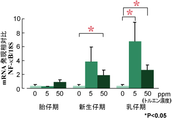 「トルエン曝露によるNF-kB遺伝子の発現（胎仔期、新生仔期、乳仔期）」を示したグラフ