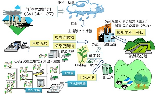 ���ː������ɉ������ꂽ�p�����̖��̑S�̑�