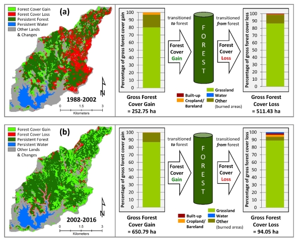 Fig. 3. Forest cover gains and losses in the LMW. (a) 1988–2002, and (b) 2002–2016.