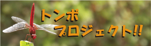 �g���{�E�v���W�F�N�g