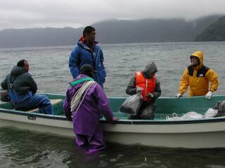 研究・調査のための水生生物を捕獲