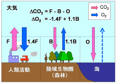 図1(a) 地球表層における二酸化炭素(赤矢印)と酸素(青矢印)の循環の模式図