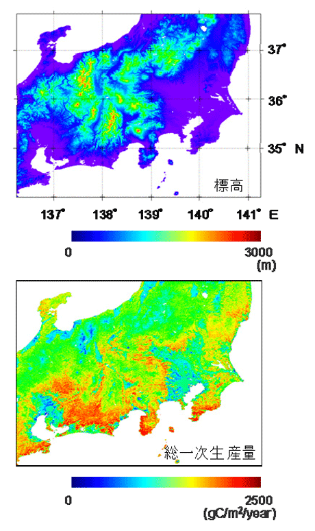 �}�R�A�n�`�i�W���j�f�[�^�Ƒ��ꎟ���Y�ʂƂ̔�r