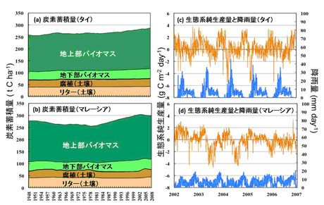 �}�Q�@���搶�Ԍn���f��VISIT �ɂ��^�C�ƃ}���[�V�A�̔M�їт́ia, b�j�Y�f�~�ϗʁA�ic, d�j���Ԍn�����Y�ʁiNEP�F�I�����W�j�̃V�~�����[�V�������ʂƊϑ����ꂽ�~�J�ʁi�j�B���^�[�͎��؂̗��t�E���}�������B