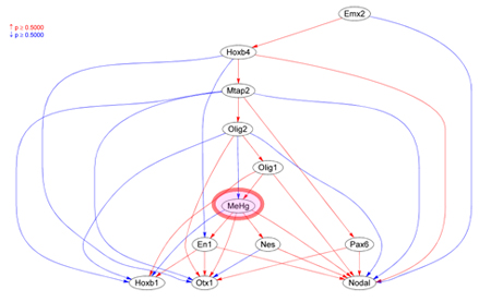 �}�E�X�_�o�זE�̃l�b�g���[�N�}