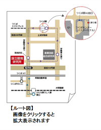 2011�Ă̑���J�`���V�ʐ^