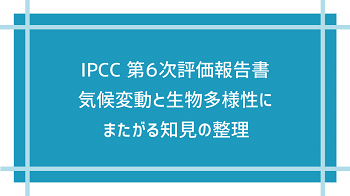 IPCC　第6次評価報告書　気候変動と生物多様性にまたがる知見の整理　の画像