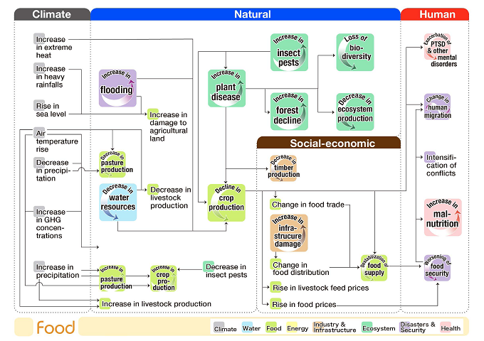Figura 2. Fluxograma das interconexões de risco climático relacionadas ao setor de alimentos