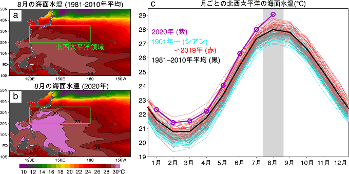 観測された8月の海面水温の水平構造および北西太平洋の海面水温の長期変化を表した図。クリックすると図が拡大します。