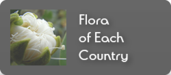 flora of each country