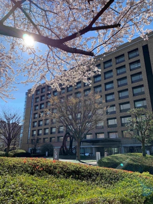 国立保健医療科学院（本館棟・入口）