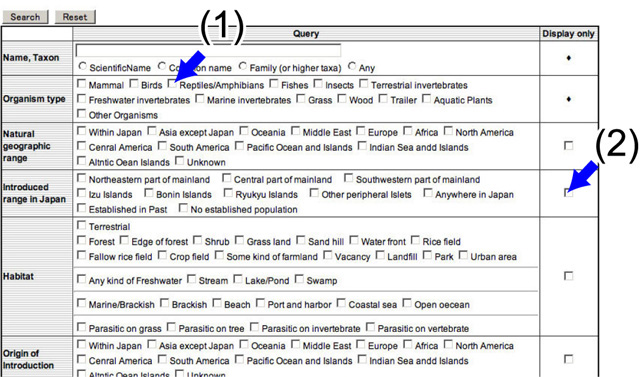 Example
