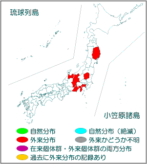 国内分布図