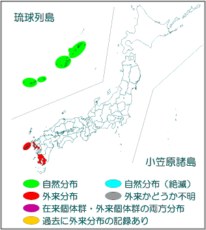 国内分布図