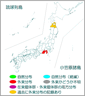 国内分布図