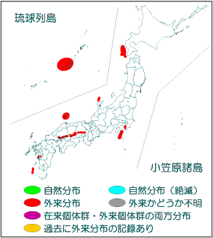 国内分布図