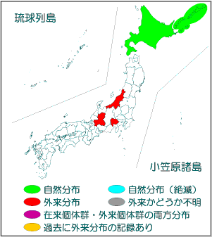 国内分布図