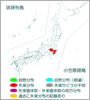 国内分布図