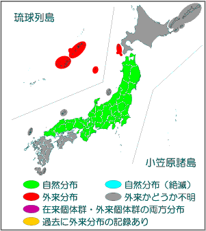 国内分布図