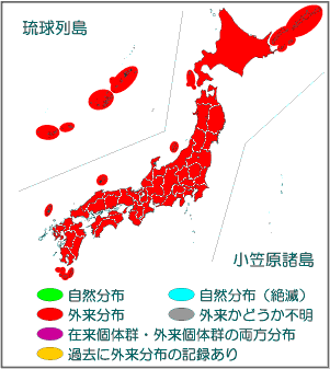 国内分布図