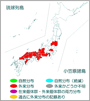 国内分布図