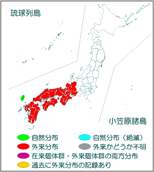 国内分布図