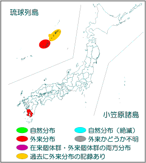 国内分布図