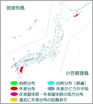 国内分布図