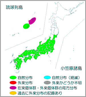 国内分布図