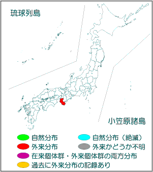 国内分布図