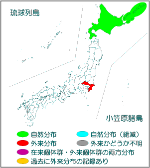 国内分布図