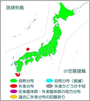 国内分布図