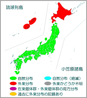 国内分布図