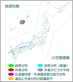 国内分布図