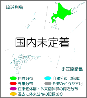 国内分布図