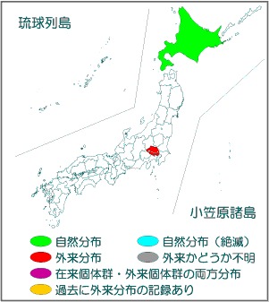 国内分布図