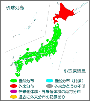 国内分布図